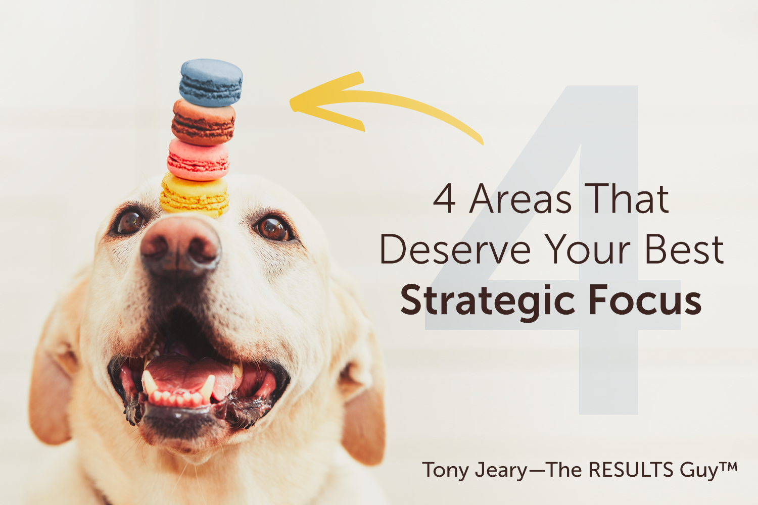 4 Areas That Deserve Your Best Strategic Focus